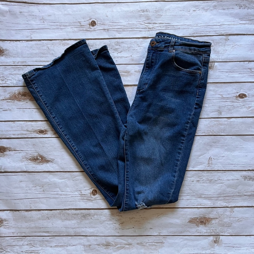 💜ARTICLES OF SOCIETY lightly distressed flare jeans